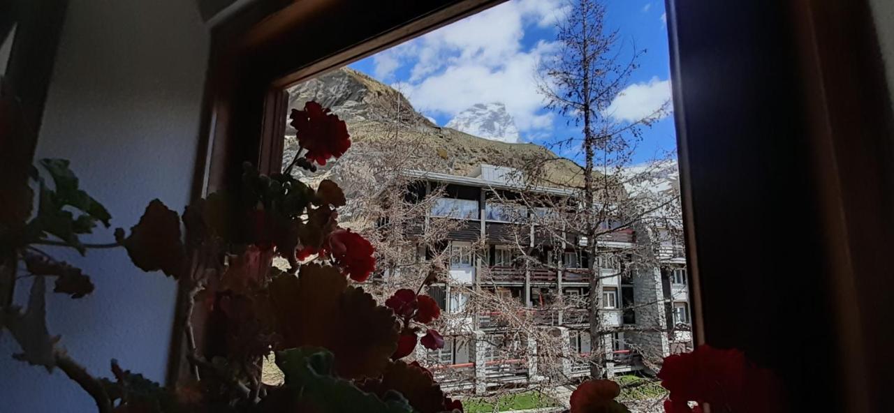 Matterhorn Studio Cervinia Breuil-Cervinia Kültér fotó